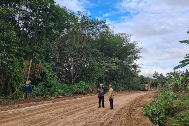 Jalan poros penghubung Desa Sebelimbingan dan Desa Tuana Tuha