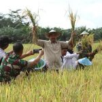Bupati Kutai Kartanegara (kukar) Edi Damansyah saat panen raya di Muara Kaman beberapa waktu lalu.