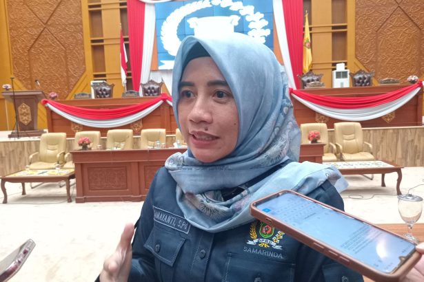 Anggota Komisi IV DPRD Kota Samarinda, Damayanti.