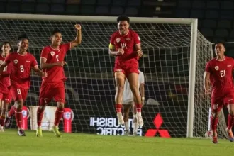 Timnas Indonesia.