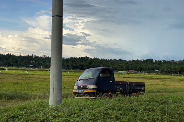 Lahan pertanian di Kukar.