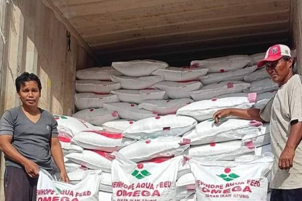 Distribusi pakan ikan.