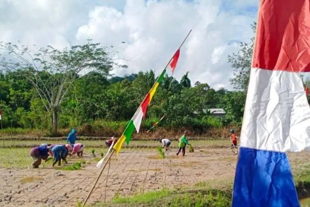 Petani Desa Loa Raya.