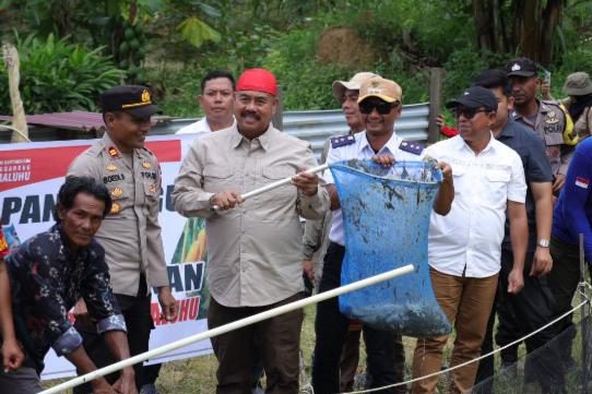 Bupati Kukar, Edi Damansyah Panen Jagung dan Ikan di Maluhu