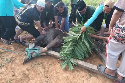 Bupati Kukar Serahkan Hewan Kurban untuk Ponpes