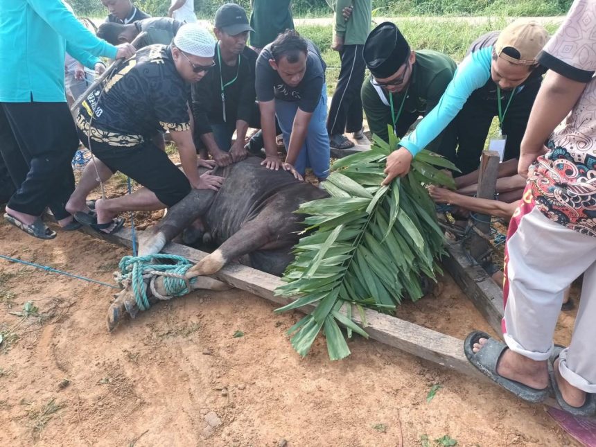 Bupati Kukar Serahkan Hewan Kurban untuk Ponpes