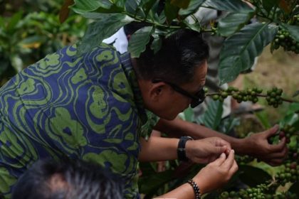 Desa Prangat Baru, Kecamatan Marang Kayu, meninjau pembangunan Rest Area “Odah Singgah” dan berdialog dengan para kepala desa serta petani kopi luwak.