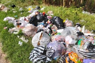 Ilustrasi pembuangan sampah. (Foto: Ist)