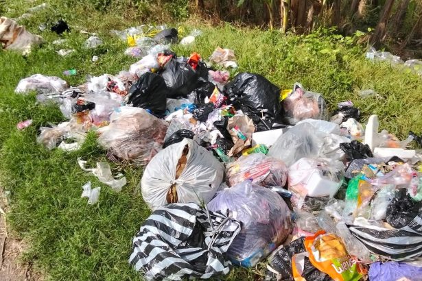 Ilustrasi pembuangan sampah. (Foto: Ist)