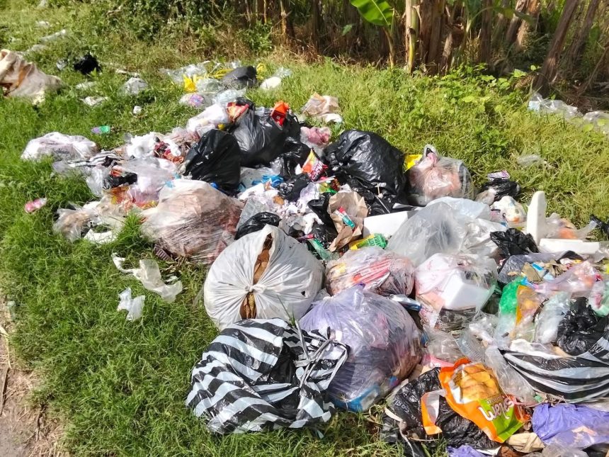 Ilustrasi pembuangan sampah. (Foto: Ist)