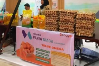 Varia Niaga Siapkan Peternakan Ayam Modern, Bidik Kendalikan Harga Telur dan Daging di Samarinda